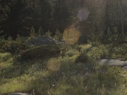 Simple Breath For Stillness