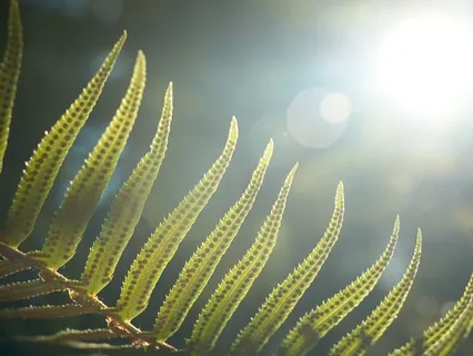 Simple Breath Led Meditation For Anytime Of Day