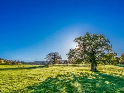 Simple Breath Led Morning Meditation 