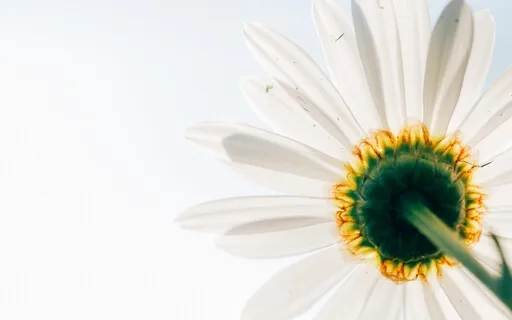 Simple Breath Meditation