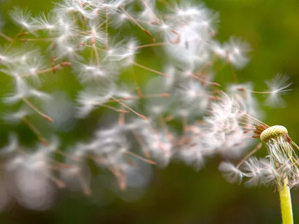 Simple Breathing Exercise With Brain Waves