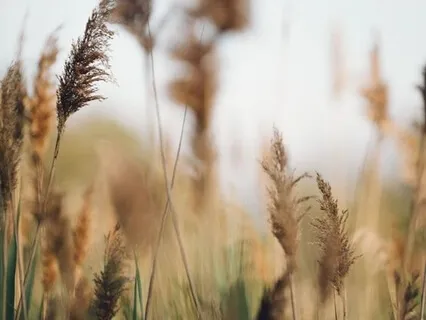 Simple Breathing Practice