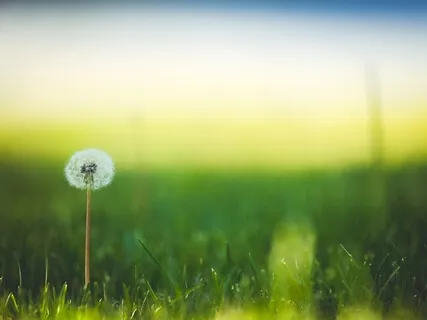 Simple Breathing (Pranayama) Exercise To Release Anxiety