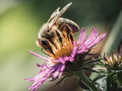 Simple Breathing Technique 6