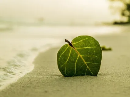 Simple Calming Body Scan For Anxiety Relief