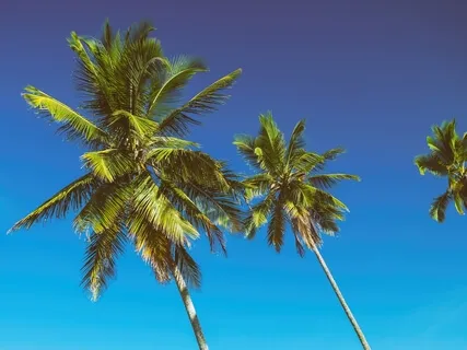 Simple Chinese-Style Relaxation Sounds