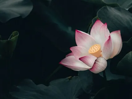 Simple Counting Breath Meditation 