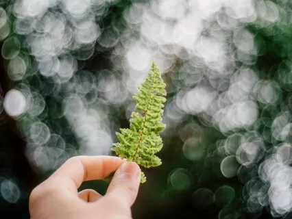 Simple Daily Meditation