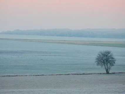 Simple Delicate Harp - 40 Minute Meditation