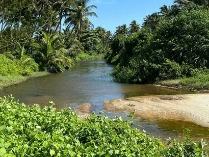 Simple Drone In C: Root Chakra (Muladhara)