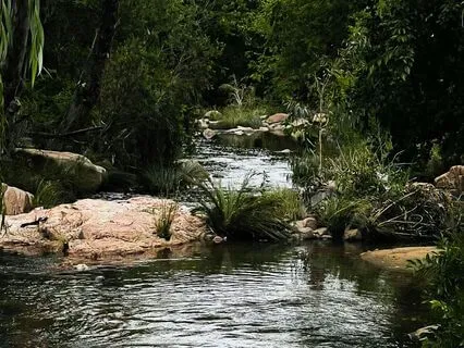 Simple Drone In E: Solar Plexus Chakra (Manipura)