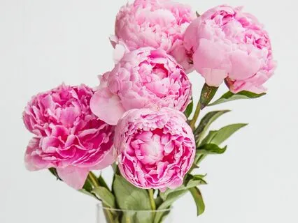 Simple Energy Healing Practice For Mothers