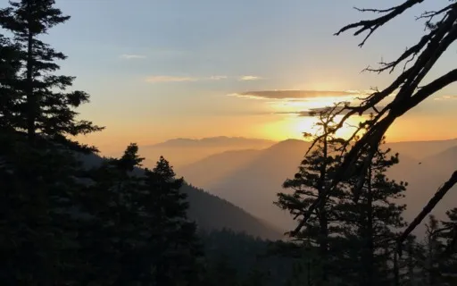 Simple Grounding Practice For Stressful Moments