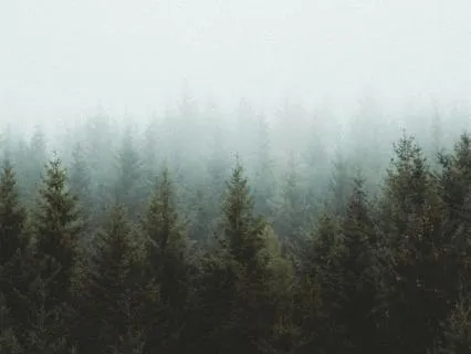 Simple Grounding Visualization