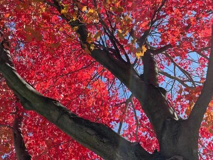 Simple Meditation For Anyone