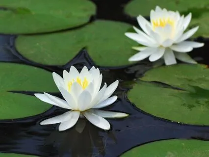 Simple Mantra Meditation Practice