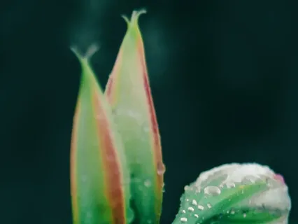 Simple Meditation And Body Scan