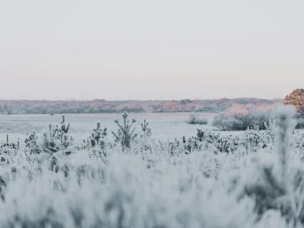 Simple Meditation For Beginners | Breath & Body