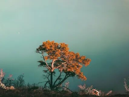 Meditation For Cultivating Calm + Peace