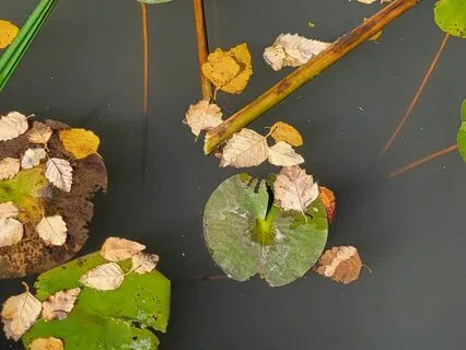 Simple Meditation For Grounding