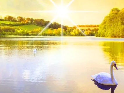 Simple Meditation on Simplicity