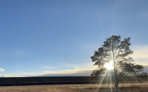 Simple Meditation Series - Grounding