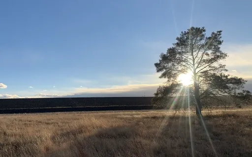 Simple Meditation Series - Spark Curiosity