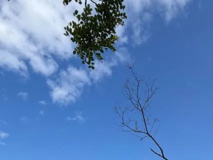 Simple Meditation To Practice "Not Doing Something Else"