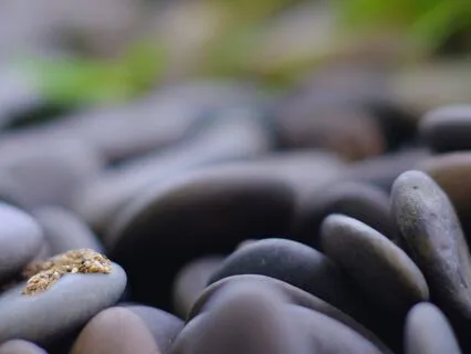 Simple Mindful Breathing Meditation Practice