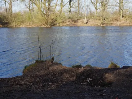 Simple Mindfulness Meditation