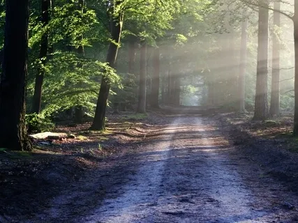 Simple Mindfulness Meditation