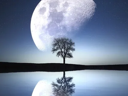 Simple Mindfulness Meditation (minimal Instruction)