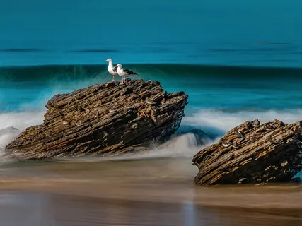 Simple Moments In Life