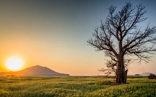 Simple Morning Affirmations ‘I AM’