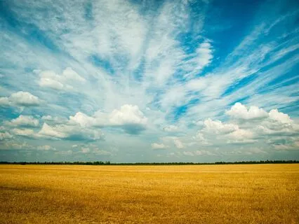 Simple Morning Ritual