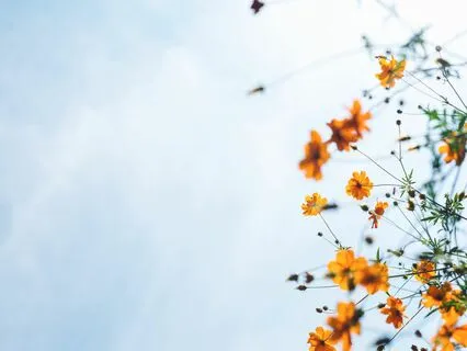 Returning To Safety - Somatic Practice For Anxiety