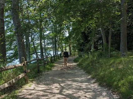 Simple Practice For Connecting To Ancestors And Descendants