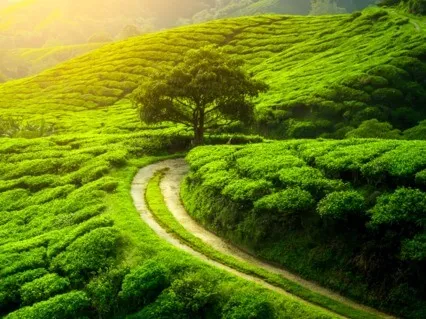 Simple Seated Grounding