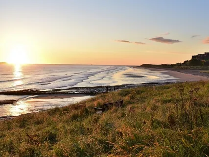 Simple Short Body Scan To Ground And Arrive In The Body