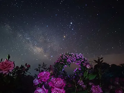 Simple Sleep Meditation
