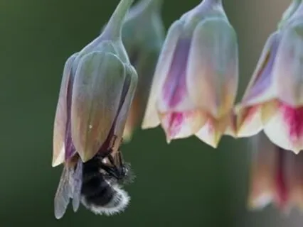 Simple Ten Minute Body Scan