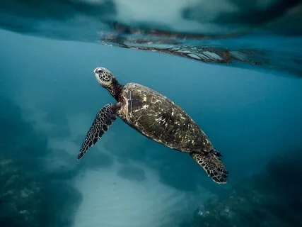 Simple Breath Focus Practice 