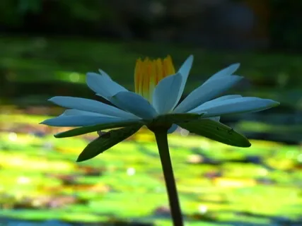 Simple Three-Minute Meditation