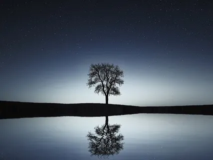 Simple Tools For Stressful Times - Discovering Ease Within The Chaos