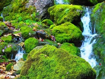 Simple Vagus Nerve Reset Practice