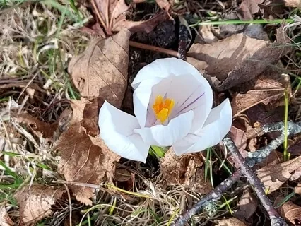 Simple Yoga Nidra For The Change Of Season