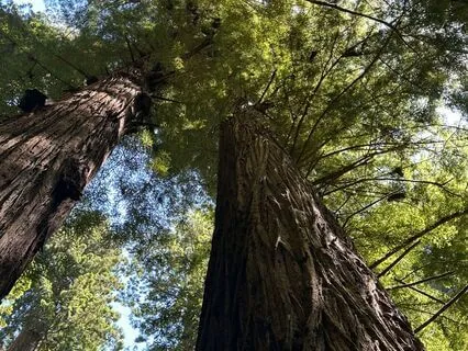 Simple Yoga Nidra Practice