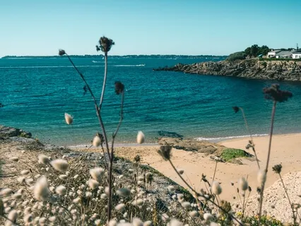 Simplesmente Respira