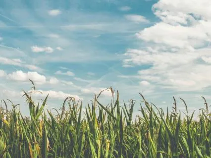 Simplicity: A 10-Minute Reset