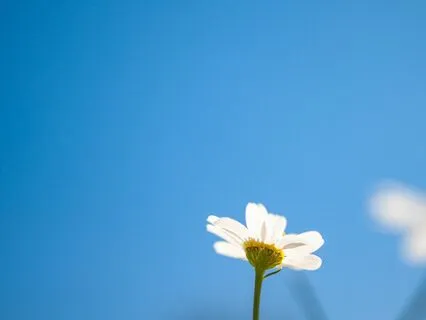 Simplicity And Clarity With Three Universal Principles